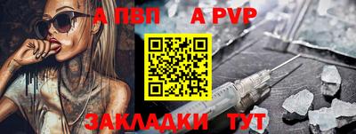 стаф Донской