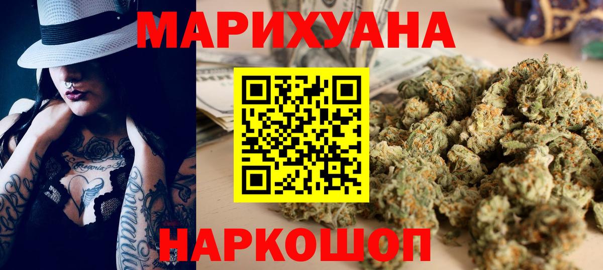Каннабис сатива Майкоп